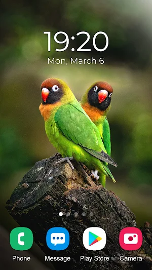 Parrot Wallpaper 2023 Screenshot 1
