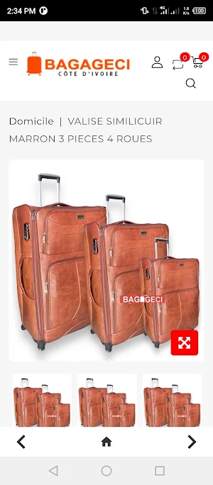 Bagageci Screenshot 3