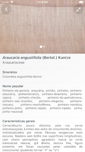 Madeiras Comerciais do Brasil Screenshot 2