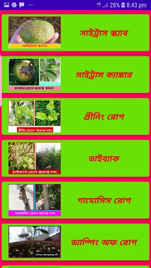 কমলা চাষাবাদ~Orange Cultivation Screenshot 3