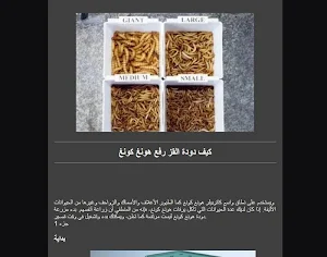 silkworm cultivation hongkong Screenshot 1