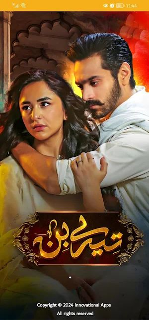 Tere Bin - Pakistani Drama Screenshot 0