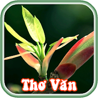 Sổ Tay Thơ Văn Và Cuộc Sống