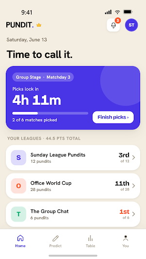 Pundit - Predict Soccer Games Screenshot 3