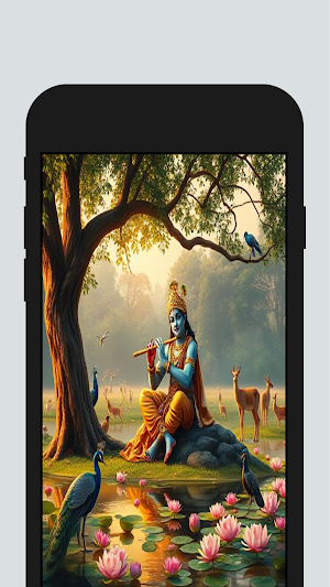 Sri Krishna Wallpapers Full HD Screenshot 3