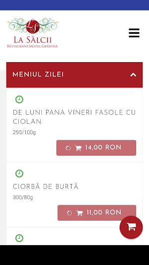 La Salcii Screenshot 0
