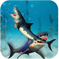 Hungry Shark Fighting Sim 3D