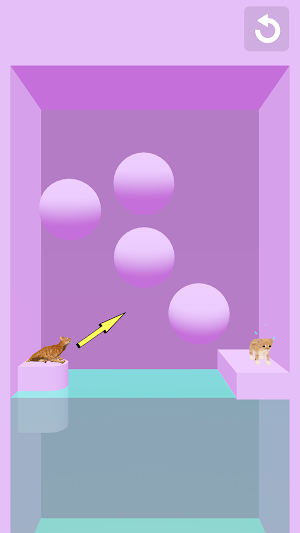 Cat Flipper Screenshot 0