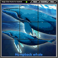 Magic Slide Puzzle B Fishes 1