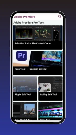 PremierePro Video Advice Screenshot 2