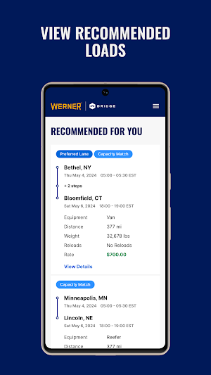 Werner Bridge for Carriers Screenshot 3