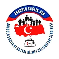 Anadolu Sağlık-Sen