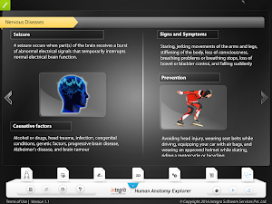 HumanAnatomy-NervousSystem Screenshot 1