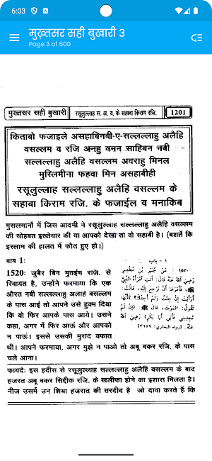 Mukhtasar Sahi Bukhari 3 Hindi Screenshot 1