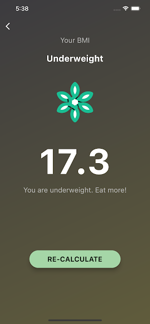 Vigor BMI Calculator Screenshot 3