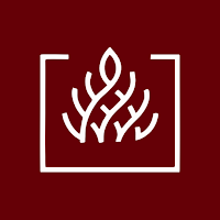 El Fuego Suítes