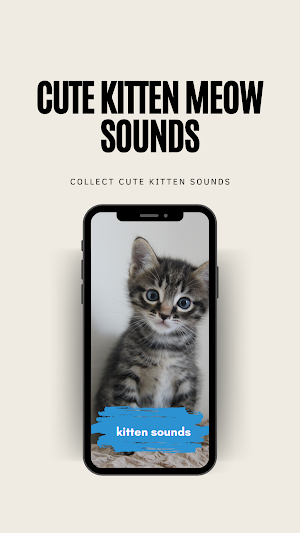 Cute kitten meow sounds Screenshot 0