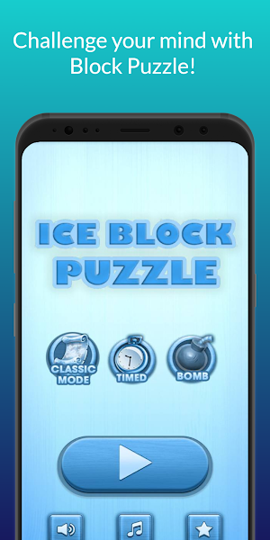 Block Puzzle - Ice Blocks Screenshot 0