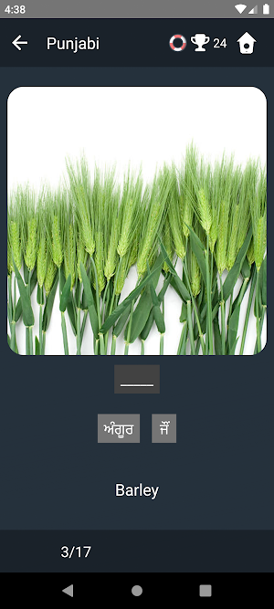 Punjabi Language Tests Screenshot 3