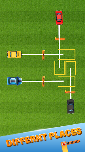 Car Order - Car Parking Game Screenshot 2