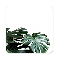 Monstera Live Wallpapers HD
