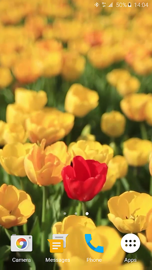 Tulips 4K Live Wallpaper Screenshot 1