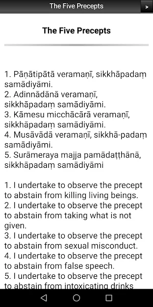 Buddhism: The Five Precepts Screenshot 1