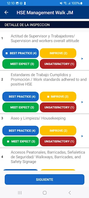 HSE Management Walk JM Screenshot 3