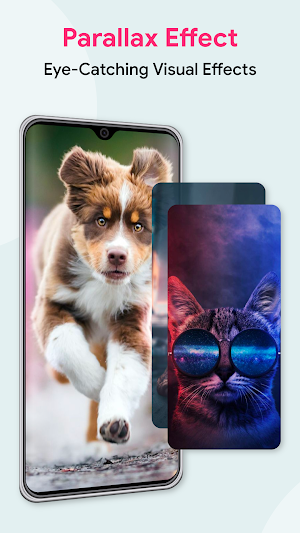 Live Wallpapers, 4K Wallpapers Screenshot 3