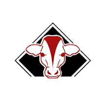 Marcacci's