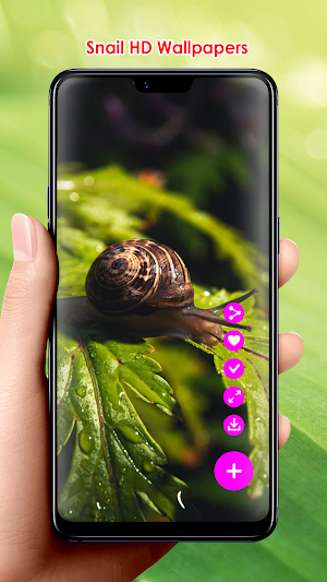 Snail HD Wallpapers Screenshot 2
