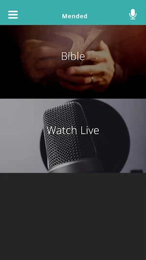 Mended Screenshot 1