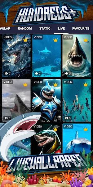 shark wallpaper Screenshot 2