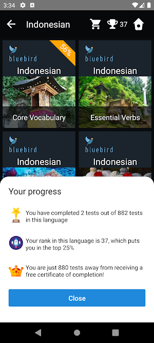 Indonesian Language Tests Screenshot 2
