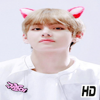 Kpop V BTS Wallpapers