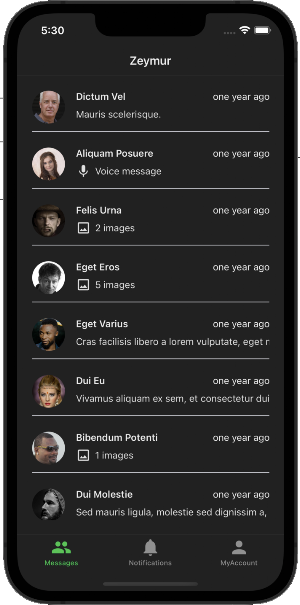 Zeymur Messaging Template XF Screenshot 1