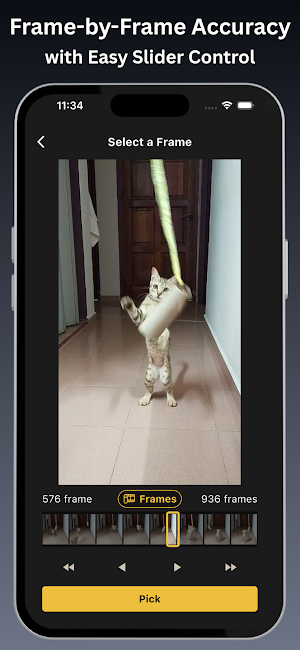 Frame Extract - Video to Photo Screenshot 2