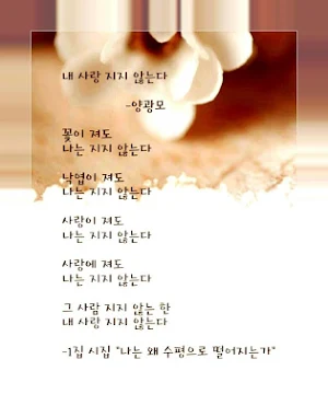 문구,시 및 사랑의 메시지, 나는 당신을 사랑합니다 이미지 Screenshot 2