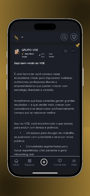 VOE Screenshot 2