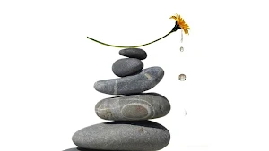 Serenidad y Equilibrio Screenshot 1