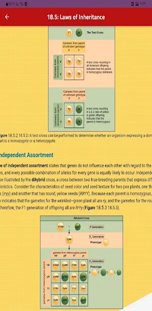 Genetics Screenshot 0