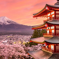Things Not to Do in Japan