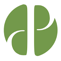 DP 311