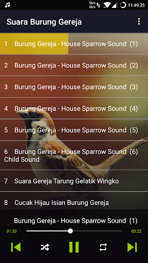 Bird: Eurasian Tree Sparrow Screenshot 2