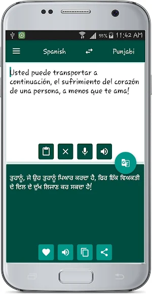 Punjabi Spanish Translate Screenshot 2
