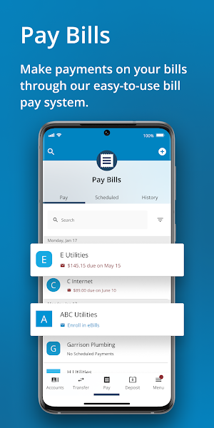 Blue Business Banking Screenshot 2