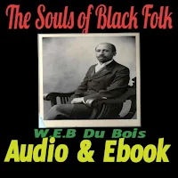 The Souls Of Black Folk Audio