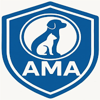 AMBE MEDICAL AGENCIES