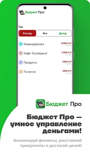 Бюджет Про Screenshot 3