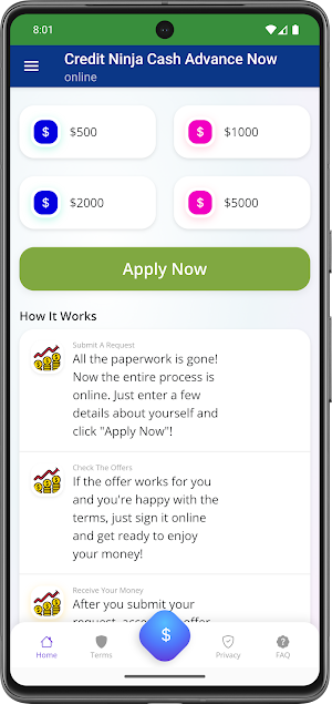 Credit Ninja Cash Advance Now Screenshot 0